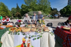 Нова Загора - самардала - празник
