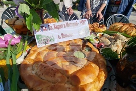 Нова Загора - самардала - празник