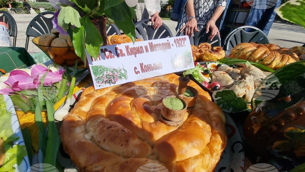 Нова Загора - самардала - празник