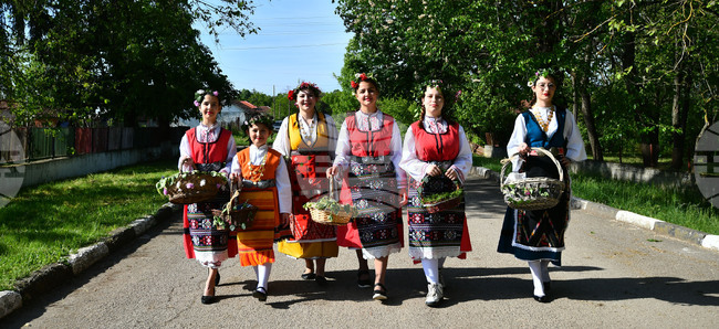 Село Конево - Лазаруване