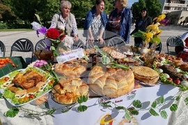 Нова Загора - самардала - празник