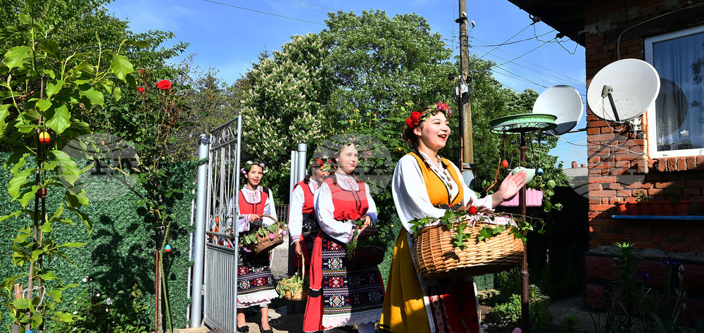 Село Конево - Лазаруване