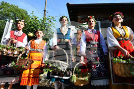 Село Конево - Лазаруване