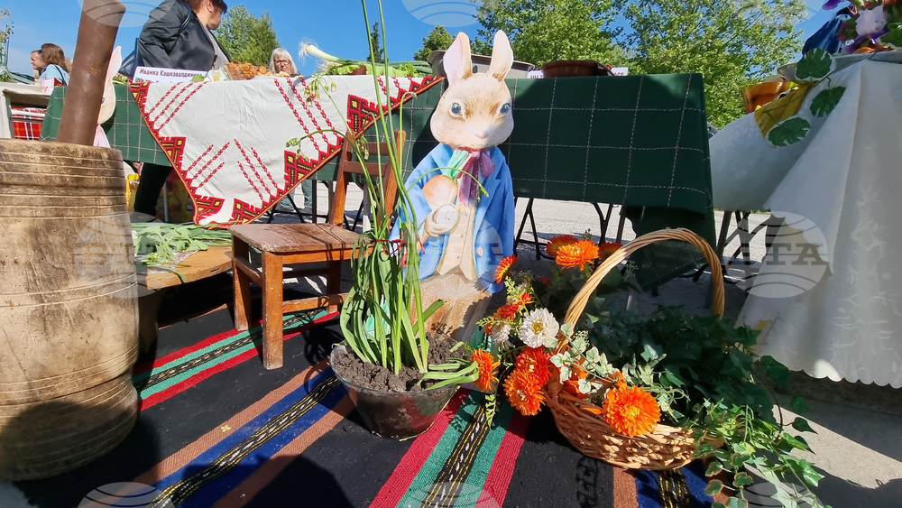 Нова Загора - самардала - празник