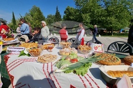 Нова Загора - самардала - празник