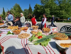 Нова Загора - самардала - празник