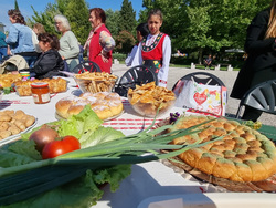 Нова Загора - самардала - празник