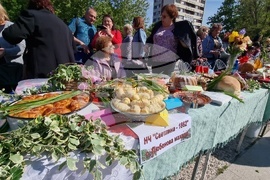 Нова Загора - самардала - празник