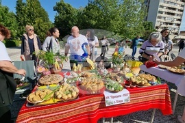 Нова Загора - самардала - празник