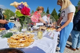 Нова Загора - самардала - празник