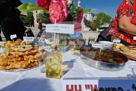 Нова Загора - самардала - празник