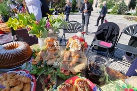 Нова Загора - самардала - празник