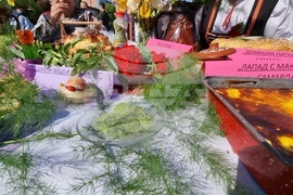 Нова Загора - самардала - празник