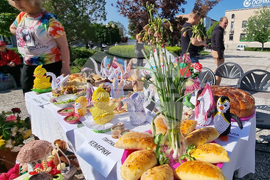 Нова Загора - самардала - празник