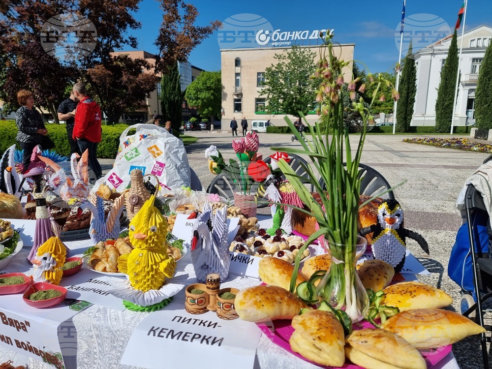 Нова Загора - самардала - празник