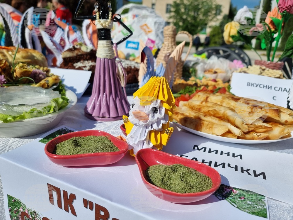 Нова Загора - самардала - празник