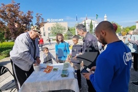 Нова Загора - самардала - празник