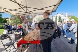 Нова Загора - самардала - празник