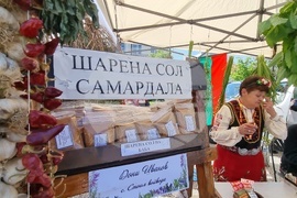 Нова Загора - самардала - празник