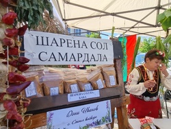 Нова Загора - самардала - празник