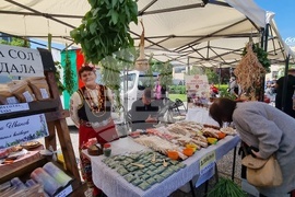 Нова Загора - самардала - празник