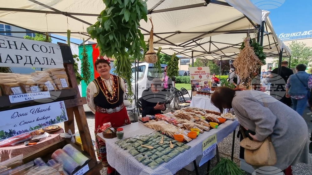 Нова Загора - самардала - празник