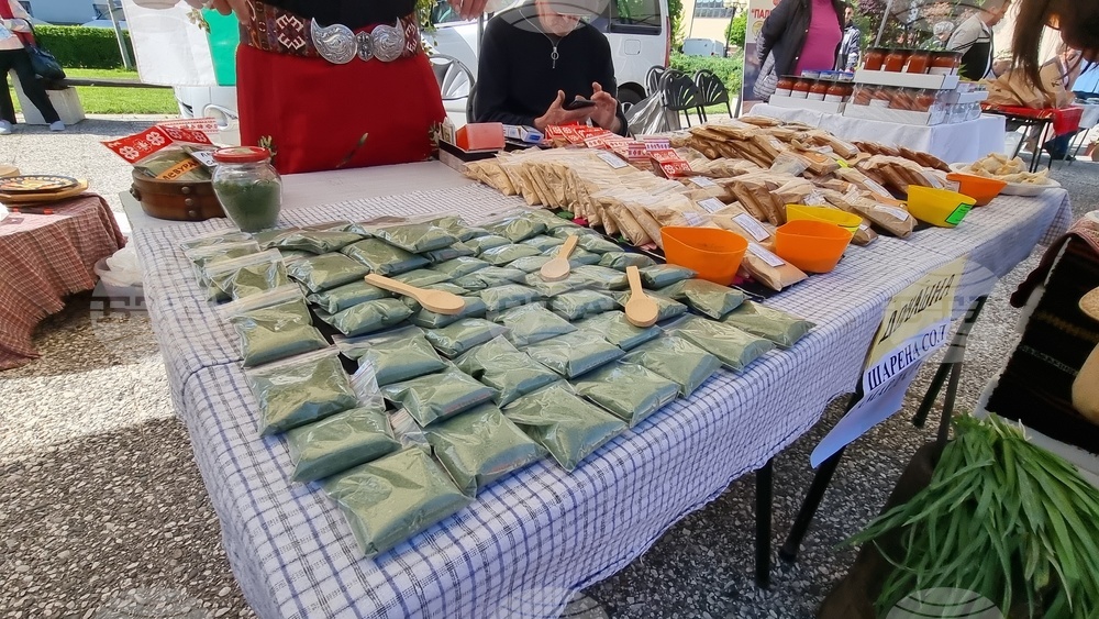 Нова Загора - самардала - празник