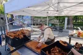 Нова Загора - самардала - празник