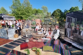 Нова Загора - самардала - празник