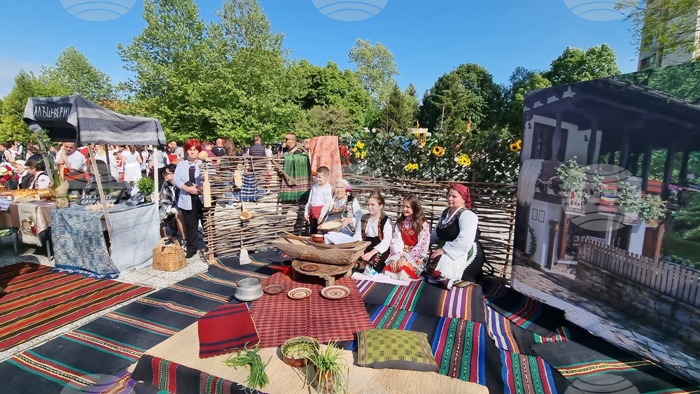 Нова Загора - самардала - празник