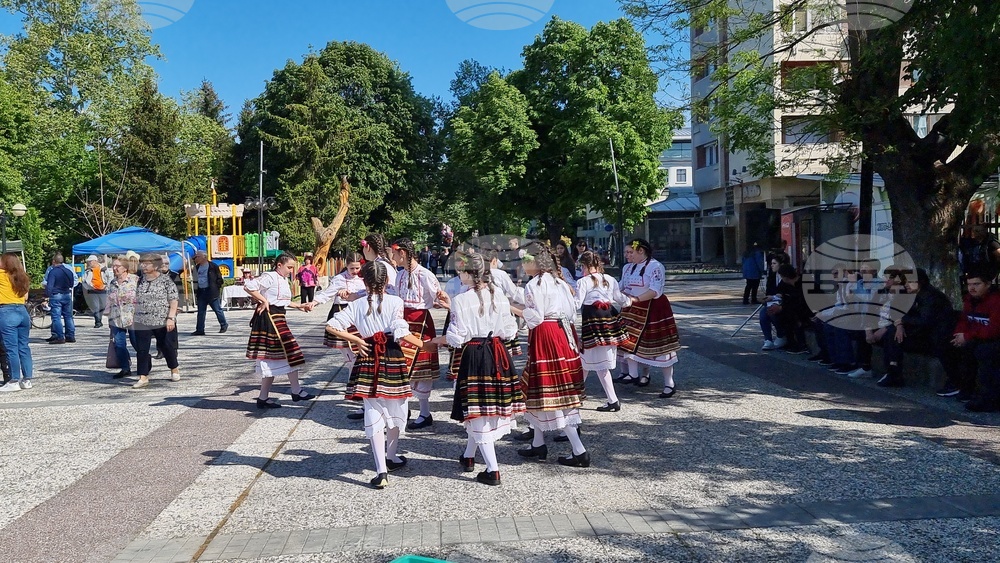Нова Загора - самардала - празник