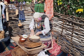 Нова Загора - самардала - празник