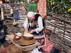 Нова Загора - самардала - празник
