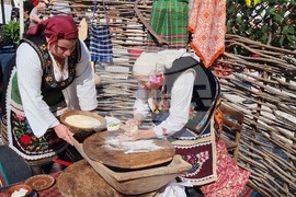 Нова Загора - самардала - празник