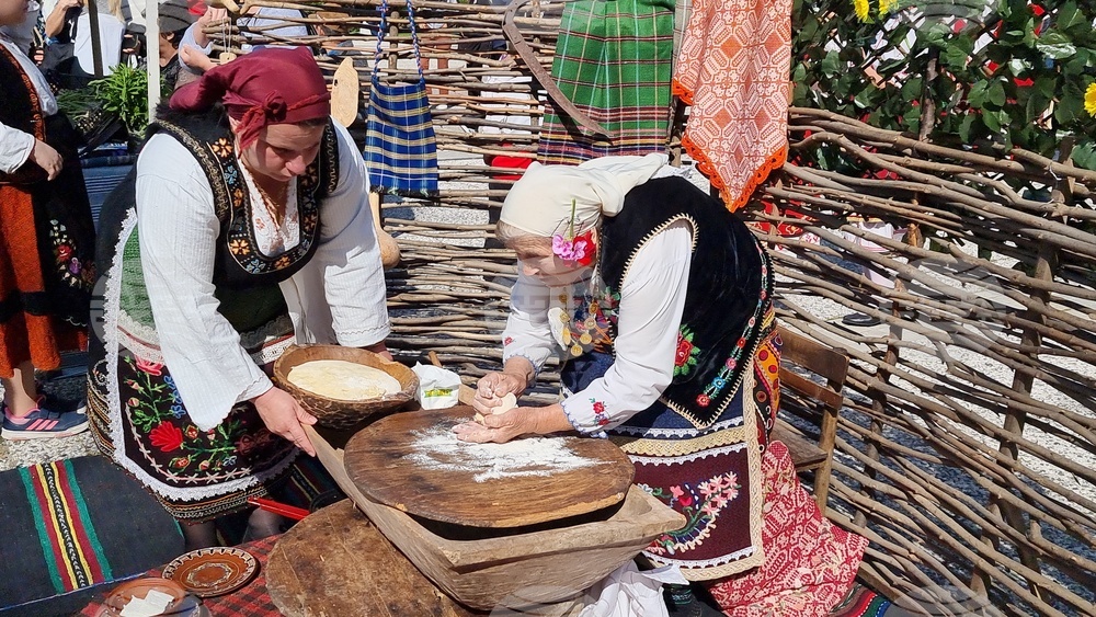 Нова Загора - самардала - празник