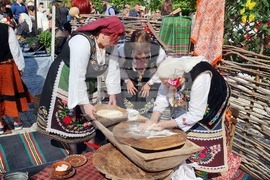 Нова Загора - самардала - празник