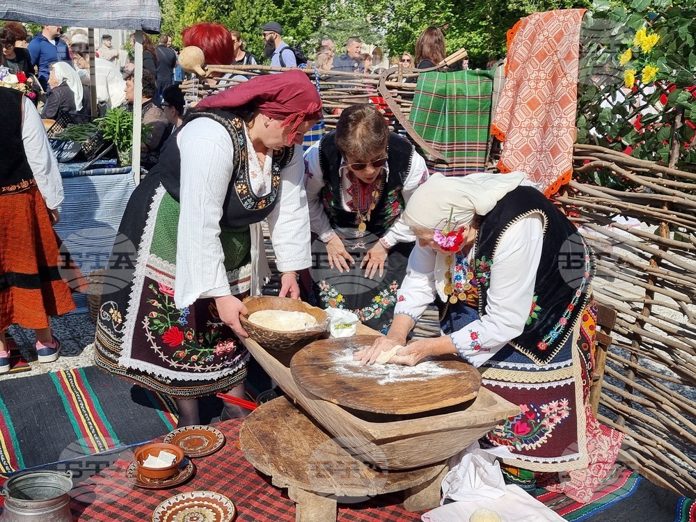 Нова Загора - самардала - празник