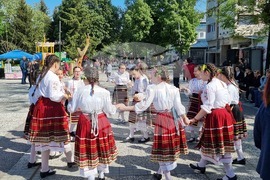Нова Загора - самардала - празник