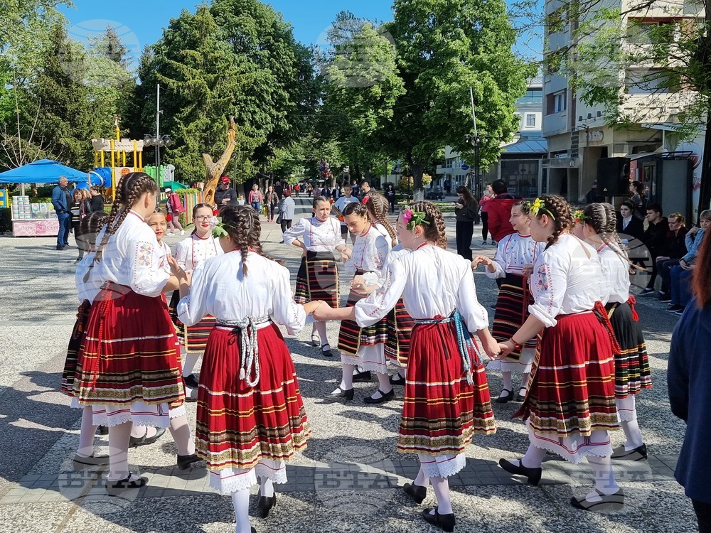 Нова Загора - самардала - празник