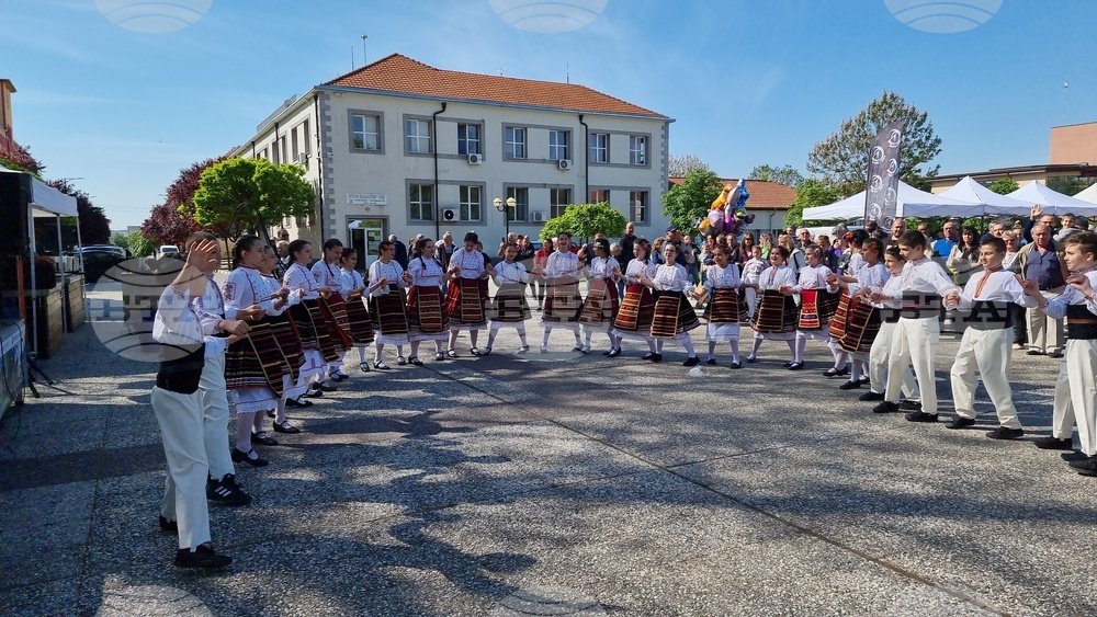 Нова Загора - самардала - празник