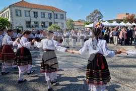 Нова Загора - самардала - празник