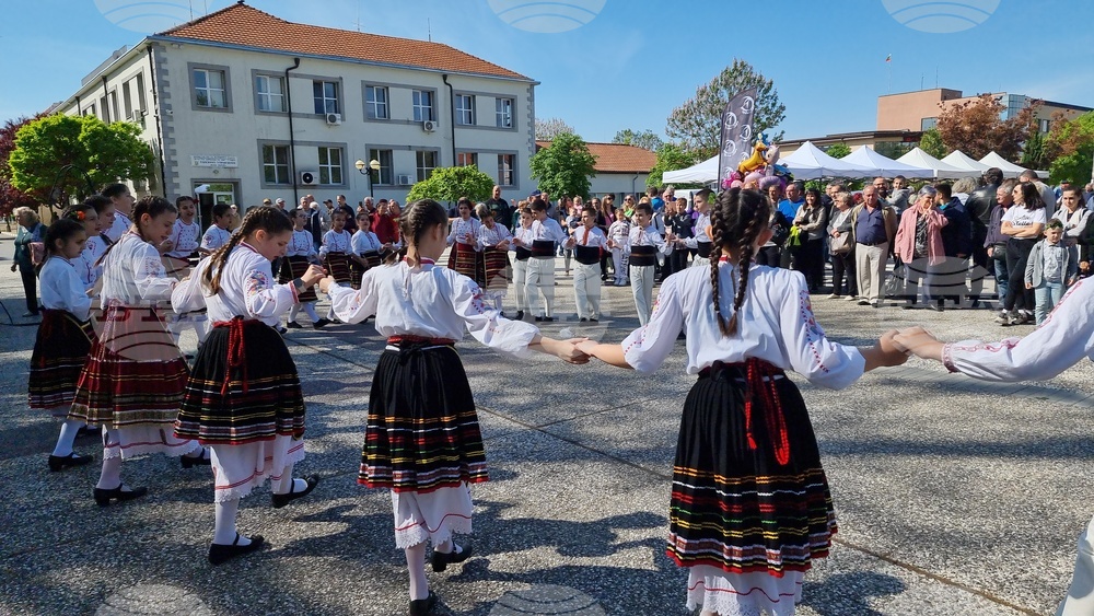 Нова Загора - самардала - празник