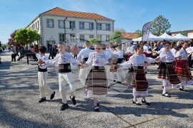 Нова Загора - самардала - празник