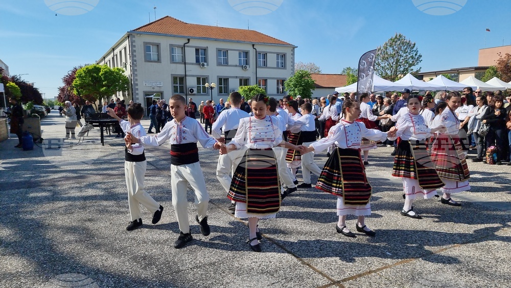Нова Загора - самардала - празник