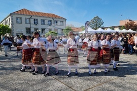 Нова Загора - самардала - празник