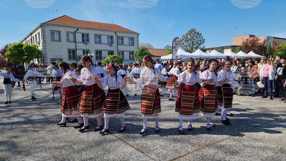 Нова Загора - самардала - празник