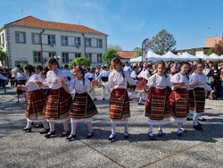 Нова Загора - самардала - празник