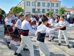 Нова Загора - самардала - празник