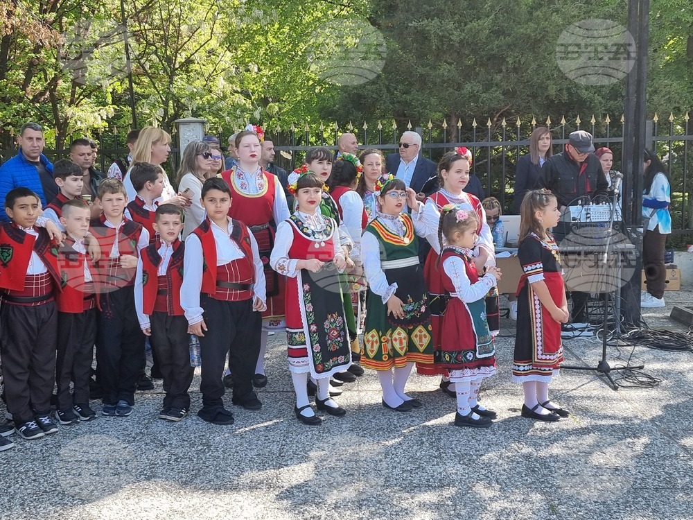 Нова Загора - самардала - празник