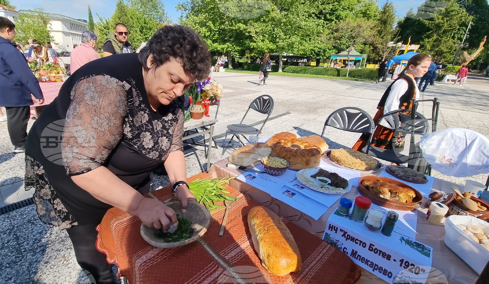 Нова Загора - самардала - празник